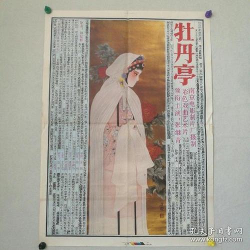 哪里能办阿根廷护照扫描件